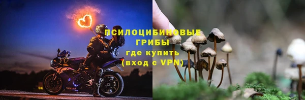 стафф Белоозёрский