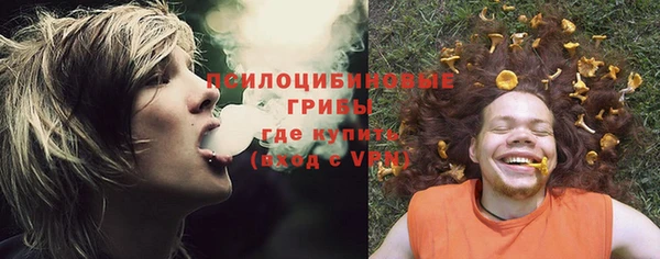 a pvp Белокуриха